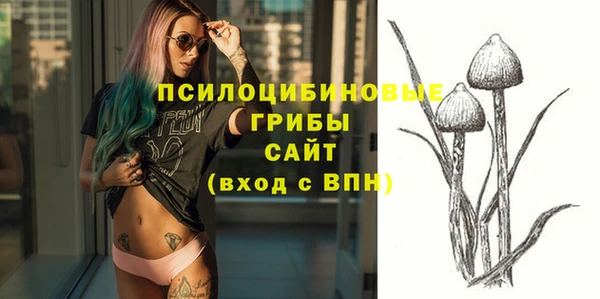 МДПВ Навашино