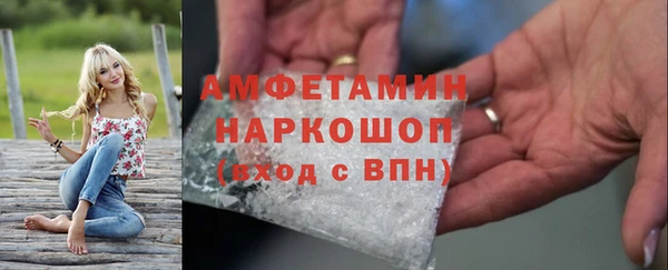 прущие грибы Нефтекумск