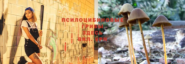герыч Надым