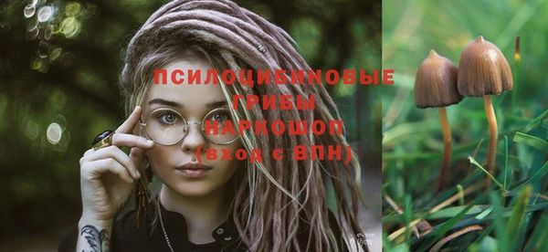 герыч Надым