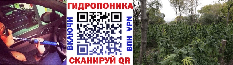 Купить где  Курлово  Канабис гибрид 